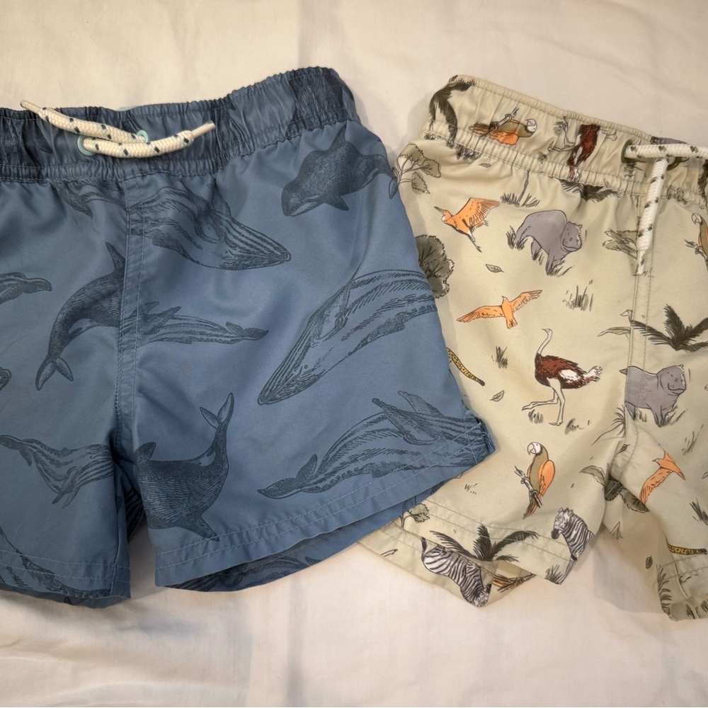 Carter's Little Planet swim trunks